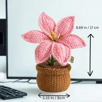 Pink Crochet potted lily plant photo 2
